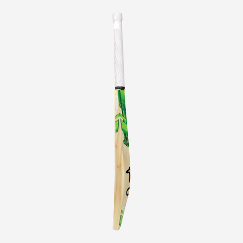 Jos Buttler 300 Adult Cricket Bat