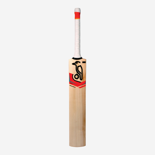 Rapid 200 Adult Cricket Bat