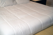 Golden Memory Down Alternative Comforter/Duvet Insert