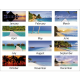 Mead® Tropical Weekly Poly Fashion Planner 5-7/8" x 8-1/4" Bilingual Assorted Blue