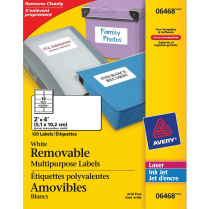 Avery® Multipurpose Labels Removable 2" x 4" 120/pkg