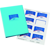 Avery® Print-to-the-Edge Rectangular Labels 2" x 3" Glossy Clear 80/pkg