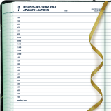 Blueline® Traditional Daily Diary Hard Cover 8-1/8" x 6-1/2" Bilingual Green