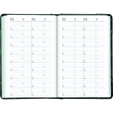 Blueline® Traditional Daily Diary Hard Cover Bilingual 13-3/8" x 8" Green