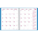 Brownline® Mountain Monthly Planner 8-7/8" x 7-1/8" English Blue