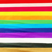 DBLG Tissue Paper 30 x 20 Assorted colours 24 sheets/pkg