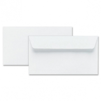 Hilroy Press-it Seal-it® Envelopes #8 Security 55/box