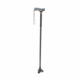 Stand Up Cane