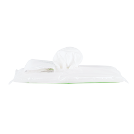 Flushable Wipes - Adult