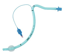 NASAL RAE TRACHEAL SIZE 6.0 (100/133/060) BX/10