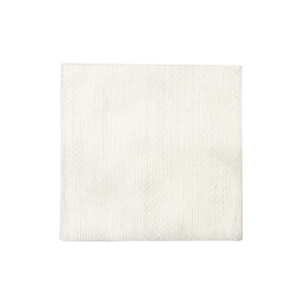 Non-Woven Sponge