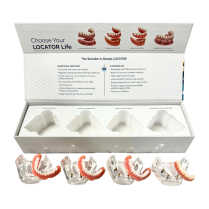 Locator Full Patient Model Kit (4 Patient Models)