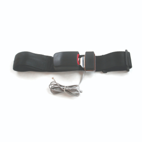 Fall Monitoring Seatbelts