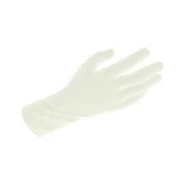 Vinyl Gloves in a Bag, Powder-Free