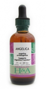 Angelica Extract