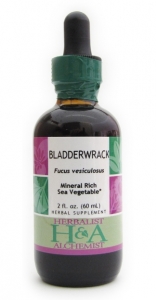 Bladderwrack Extract