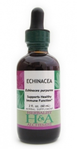 Echinacea Extract