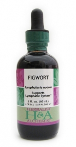 Figwort Extract