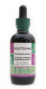 Houttuynia Extract