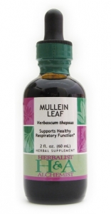 Mullein Extract
