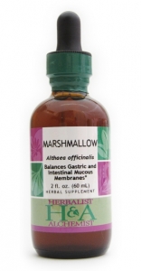Marshmallow Extract