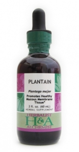 Plantain Extract