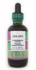 Uva-Ursi Extract