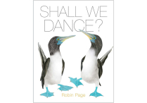 SHALL WE DANCE Hardback