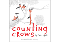 COUNTING CROWS Hardback