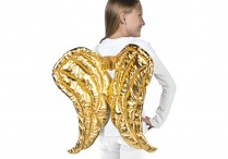 GOLD WINGS