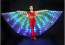 DANCE WINGS LED Light-up