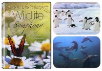 WILDLIFE SYMPHONY DVD