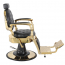 BARBOSSA Barber Styling Chair - Black with Gold Frame