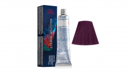 KOLESTON Perfect 0/66 Voilet Intensive 60ml