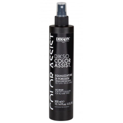 Dikson DIKSOColor Assist Porosity Equalizer Spray 300ml