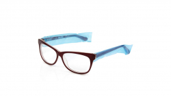 Eye Glasses Protective Sleeves - Box of 200