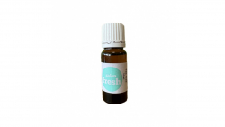 Essential Oil Tea Tree 11ml