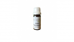 Essential Oil Ginger 11ml