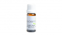 Essential Oil Clary Sage 11ml