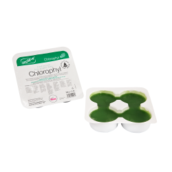 Depileve Chlorophyl Hot Wax 1kg