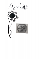 Spa Life Corn Slicer Blades-Box of 10