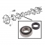 Rear Axle Bearing - 1948-83 Ford Truck, 1966-77 Ford Bronco, 1949-79 Ford Car