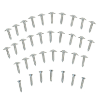 Headliner Screw Kit - 1966-77 Ford Bronco