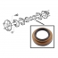 Rear Axle Seal - 1974-86 Ford Truck, 1974-86 Ford Bronco   