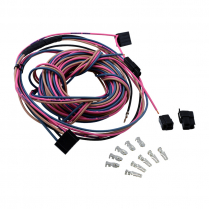 Tailgate Power Window Wiring - 1978-82 Ford Bronco