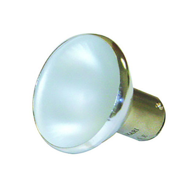 Blast Light Bulb Clear 20 Watt 10/PKG
